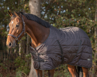 QHP Derka stajenna Start Collection, 200 g, kolor Crocodile - 2