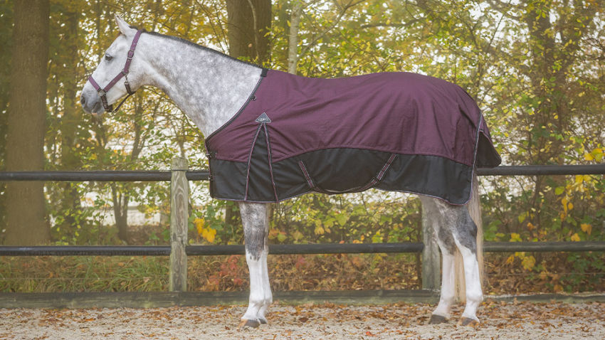 QHP Derka padokowa Collection, 0 g, podszycie polarowe, kolor Wine Red