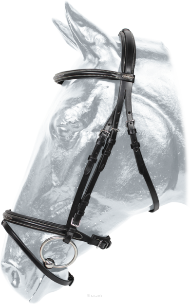 KENTAUR Ogłowie Hartford, czarny