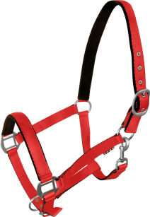 YORK Kantar Fluo, kolor czerwony