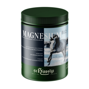ST. HIPPOLYT Magnez + B12 - uspokojenie i wyciszenie - 1 kg